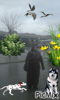 istanbuldan - Bezmaksas animēts GIF