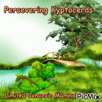 Persevering Kyptoceras 1.00 tree animuotas GIF