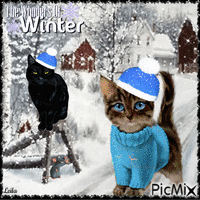 The Wonders of Winter - Zdarma animovaný GIF