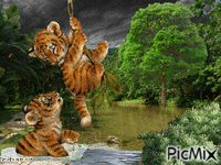 jungle.. animovaný GIF
