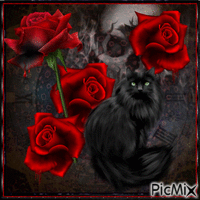 Roses My Love - GIF animé gratuit