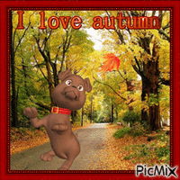 I love autumn анимированный гифка