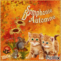 Symphonie d'automne GIF animé