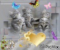 trois petits chatons et les papillons κινούμενο GIF