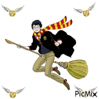 Harry potter chasing snitches - Free animated GIF