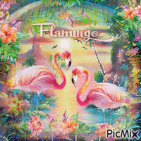 Flamingo summer tropical - 免费动画 GIF