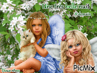 Belle nuit ! - Free animated GIF