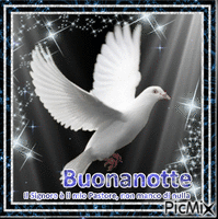 bnotte36 - Free animated GIF