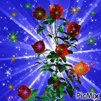une fleur parmis les etoilles - Free animated GIF