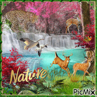 la nature ❤️🌼 - GIF animé gratuit