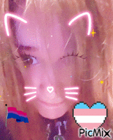 Me gay trans bisexual kitten meow animált GIF