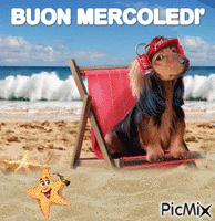 BUON MERCOLEDI' анимиран GIF