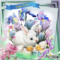 Happy Easter Card - GIF animado grátis
