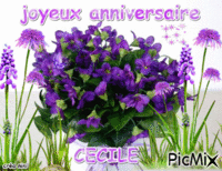 anniversaire cécile 73 ans - Free animated GIF