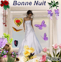Bonne  Nuit - Бесплатный анимированный гифка