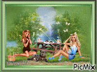 Min@  kvinnor på picnic