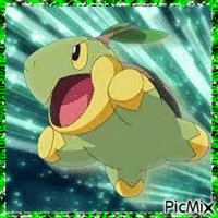 Pokémon Tortipouss - Δωρεάν κινούμενο GIF