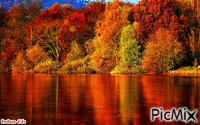 Autumn Day - Gratis animerad GIF