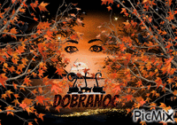 DOBRANOC - Kostenlose animierte GIFs