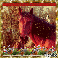 Cavalo e a Natureza - GIF animado grátis