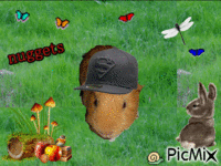 NUGGETS Animiertes GIF