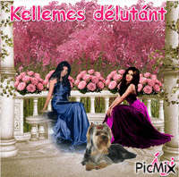 KELLEMES DÉLUTÁNT - 無料のアニメーション GIF