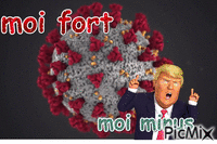 fort 动画 GIF