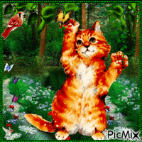 Kedi ve Kelebekler - GIF animé gratuit