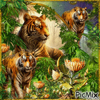 Tigres dans la jungle - Бесплатный анимированный гифка