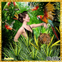 tropique - Zdarma animovaný GIF