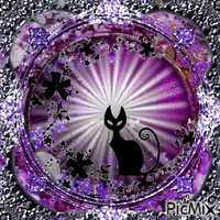 black cat of the moon flower geanimeerde GIF