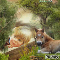 L'enfant et son poney par BBM Gif Animado
