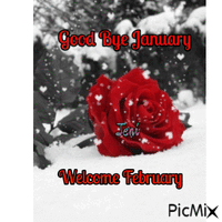Good Bye January Welcome February Gif Animado