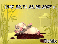 Свинья - Darmowy animowany GIF