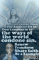 Never compromise - Free animated GIF
