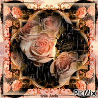 Roses oranges - Art numérique GIF animé