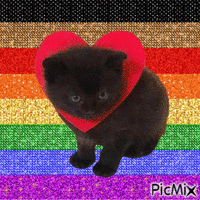 Love cat - Bezmaksas animēts GIF