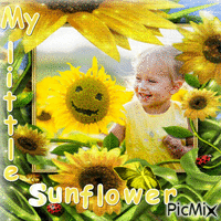 My little Sunflower - GIF animé gratuit
