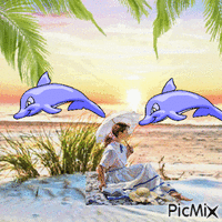 pensive  devant les dauphins Animated GIF