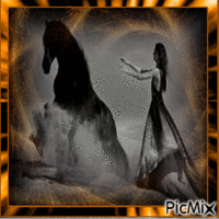 Passion chevaux - GIF animé gratuit