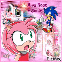 Amy Rose + Sonic - GIF animé gratuit