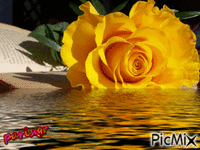 ροζα Animated GIF