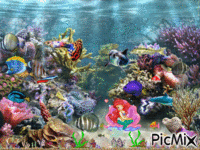 Ocean - 無料のアニメーション GIF