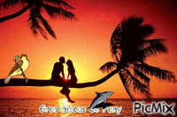 Palmiers couple d'amoureux - GIF animate gratis