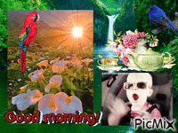 Morning animált GIF