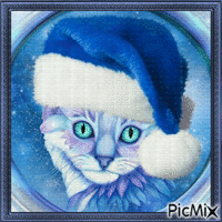 Chat de Noël en bleu. - Δωρεάν κινούμενο GIF