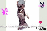 Le chat rappeur ^^ !! - Zdarma animovaný GIF