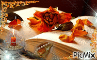 livre et rose - Zdarma animovaný GIF