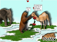 animals love - Ingyenes animált GIF