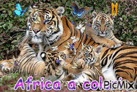 Africa - Бесплатни анимирани ГИФ